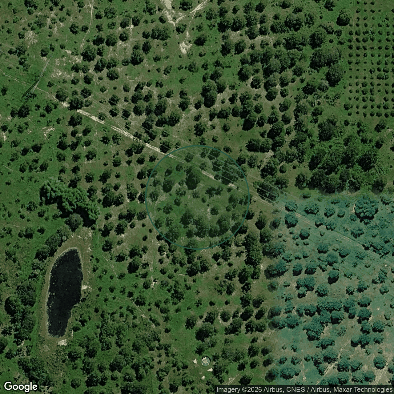 Terreno em Horizonte — 1.000.200 m² — foto 1 de 3