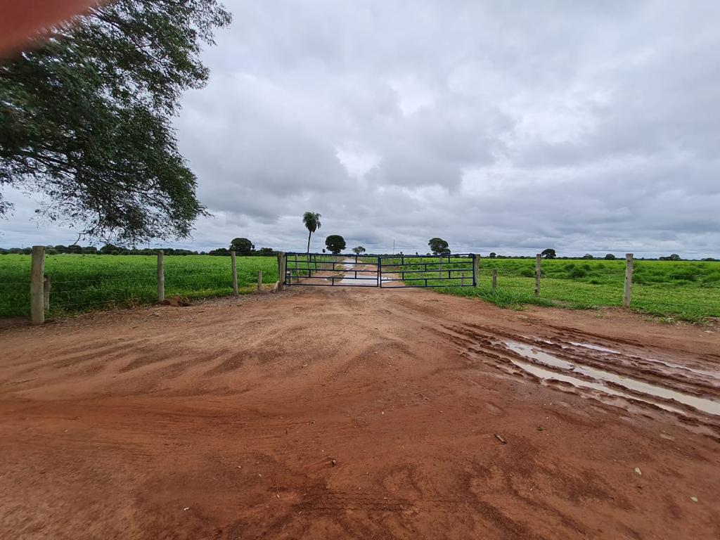 Propriedade rural em Mozarlândia — 2.855 ha — foto 1 de 12