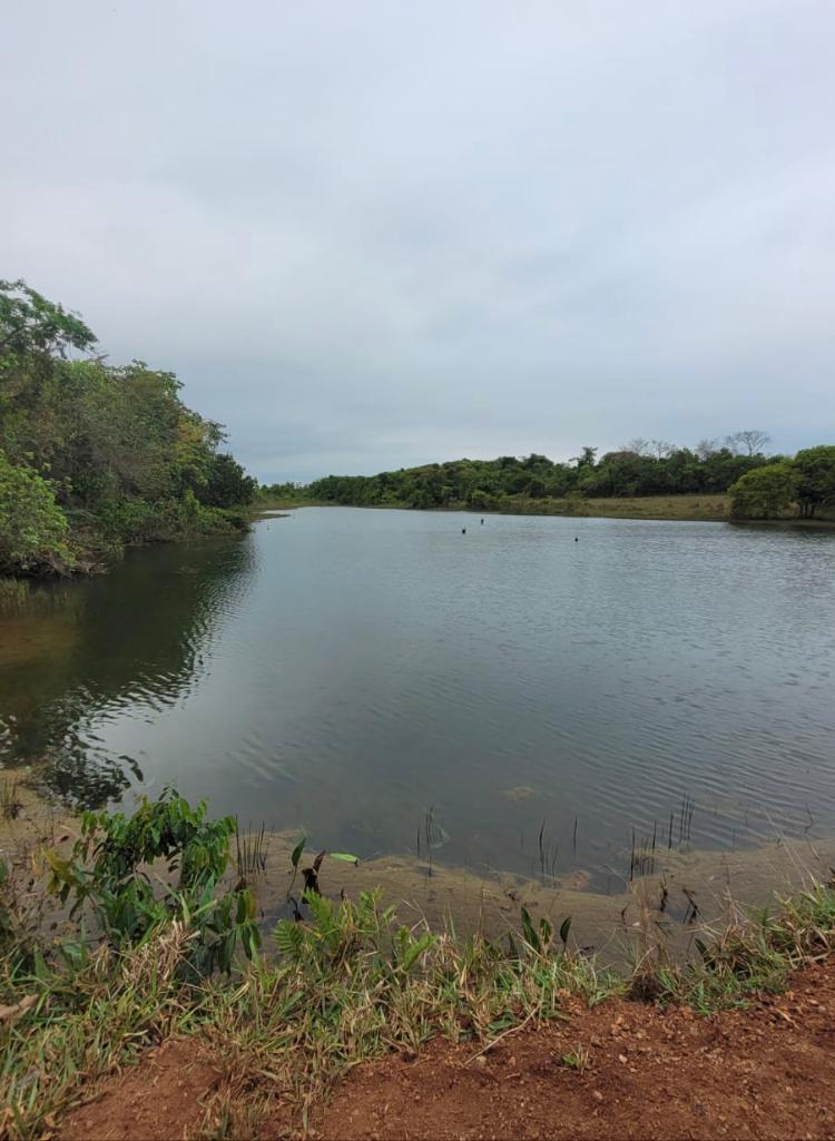 Propriedade rural em Três Lagoas — 121 ha — foto 1 de 12