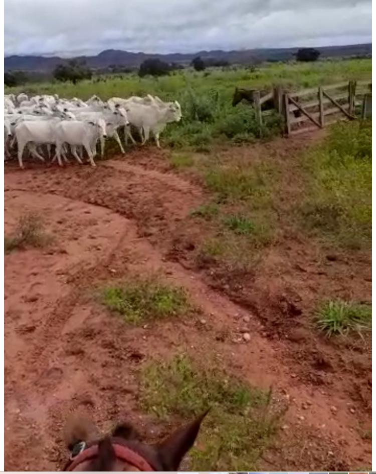Propriedade rural em Barra do Garças — 4.000 ha — foto 1 de 12