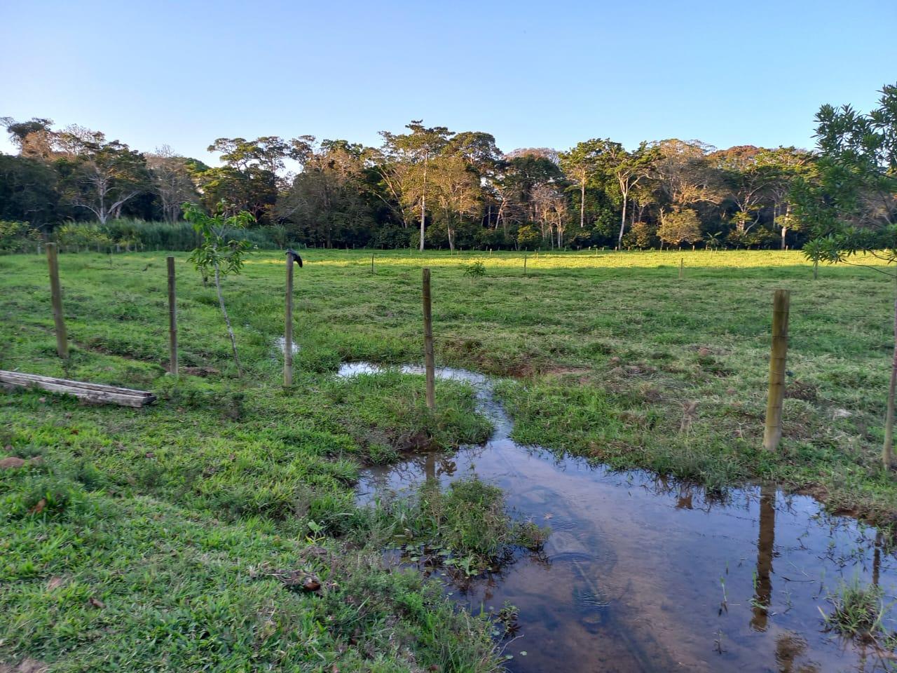 Propriedade rural em Porto Seguro — 120 ha — foto 1 de 12
