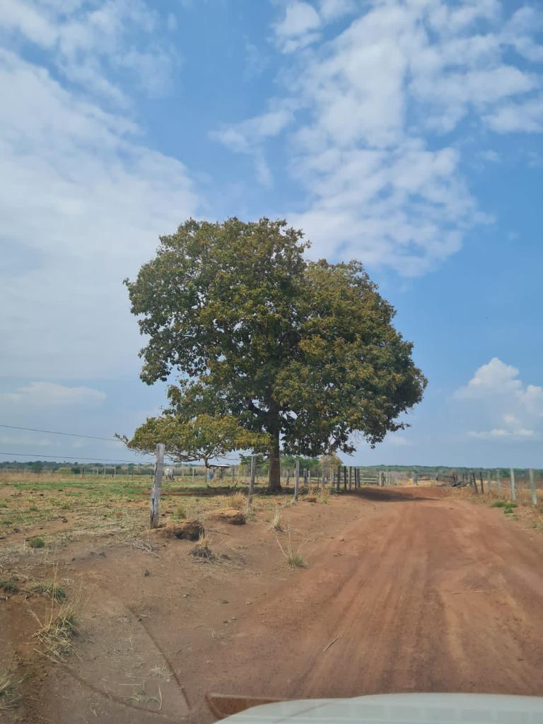 Propriedade rural em Nova Crixás — 3.920 ha — foto 1 de 12