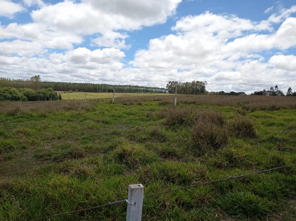Fazenda de 47 alqueires na região de Paranapanema - SP — foto 1 de 12