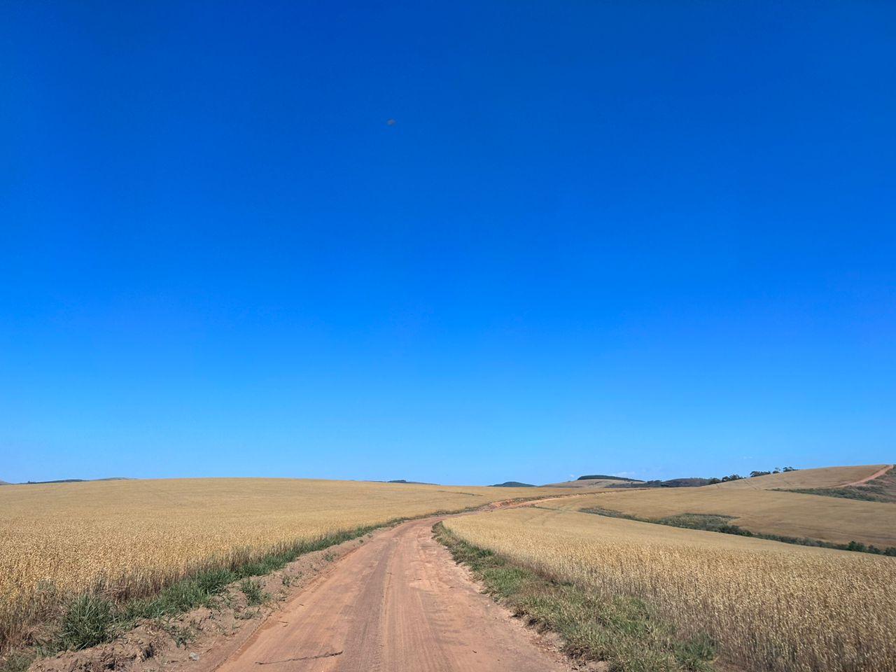 Propriedade rural em Andrelândia — 604 ha — foto 1 de 12