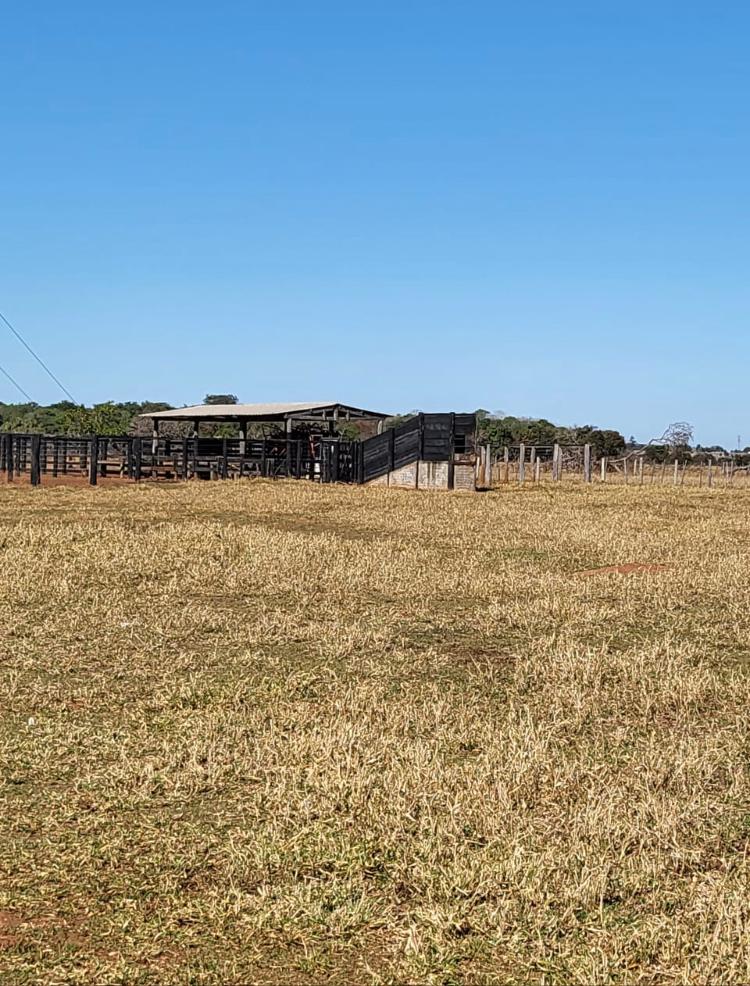Propriedade rural em Chapadão do Sul — 546 ha — foto 1 de 12