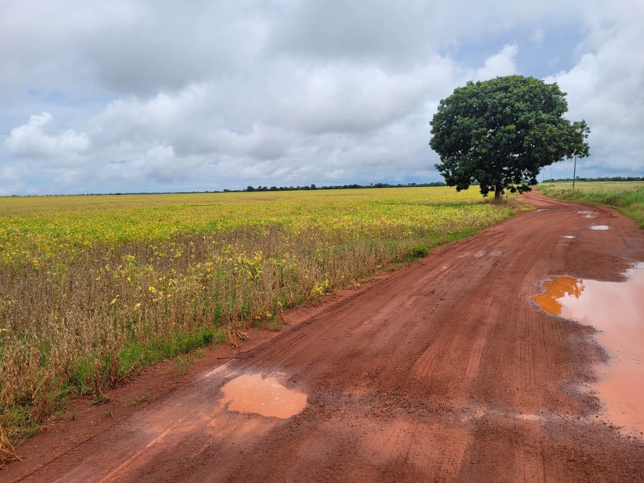Propriedade rural em Querência — 4.000 ha — foto 1 de 8