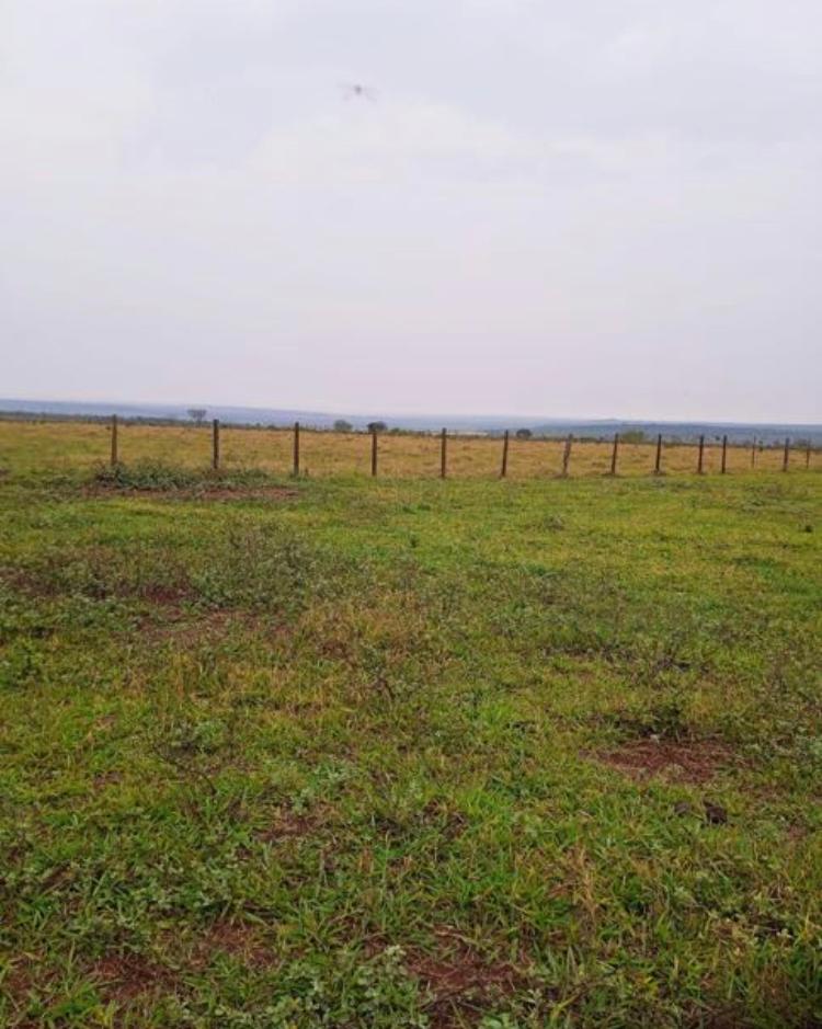 Propriedade rural em Ribas do Rio Pardo — 1.305 ha — foto 1 de 6