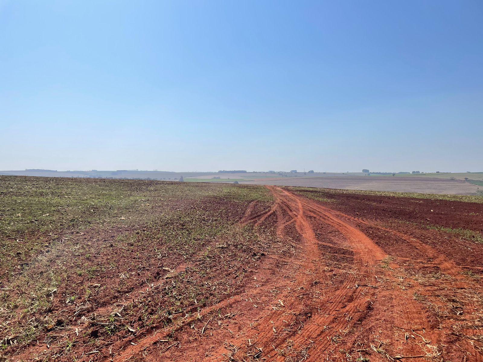 Propriedade rural em Santa Cruz do Rio Pardo — 266 ha — foto 1 de 12