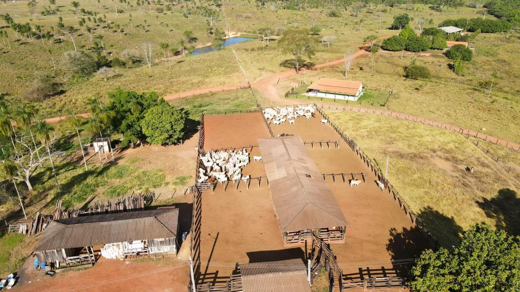 Propriedade rural em Araguaína — 4.667 ha — foto 1 de 12