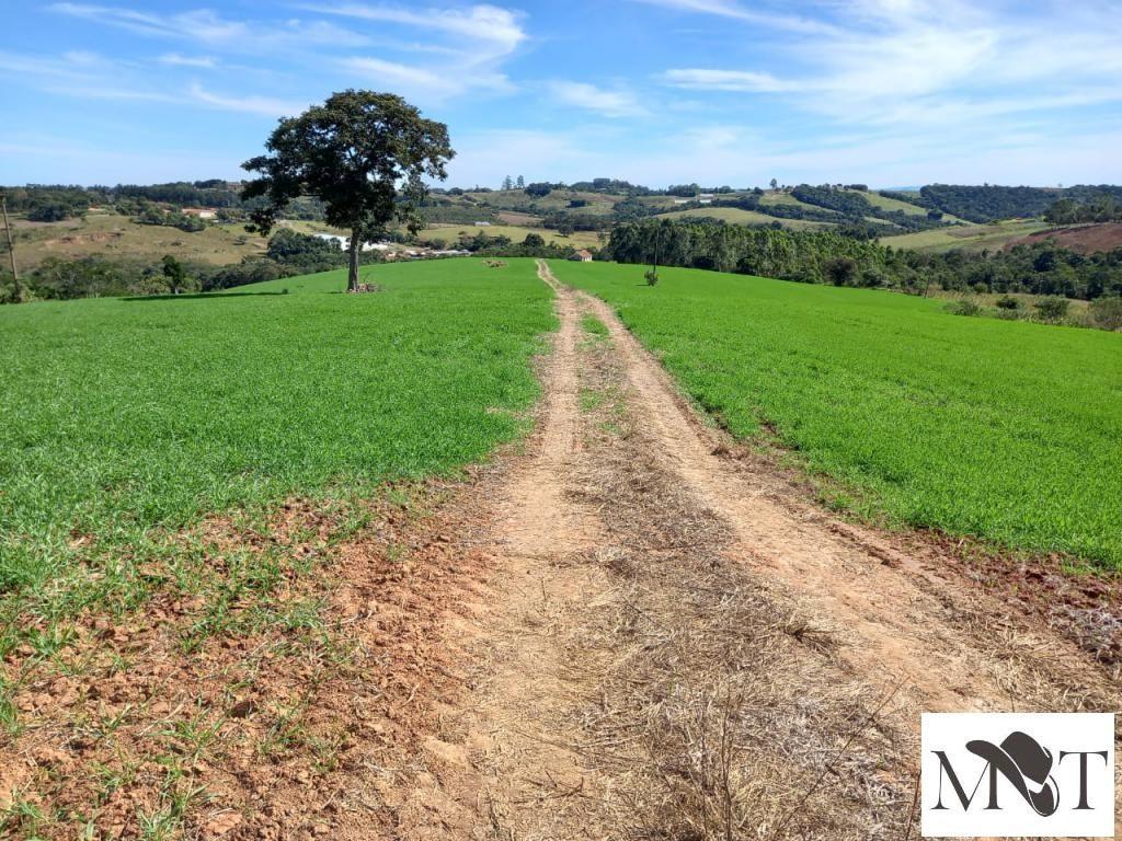 Propriedade rural em Itapetininga — 22 ha — foto 1 de 12