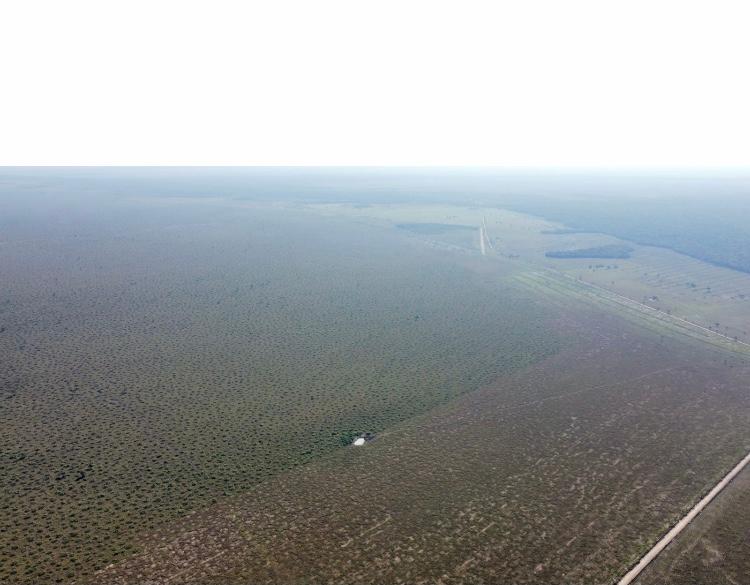 Propriedade rural em Cerejeiras — 7.000 ha — foto 1 de 11