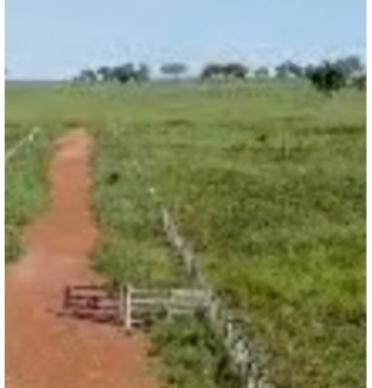 Propriedade rural em Rio Negro — 688 ha — foto 1 de 7