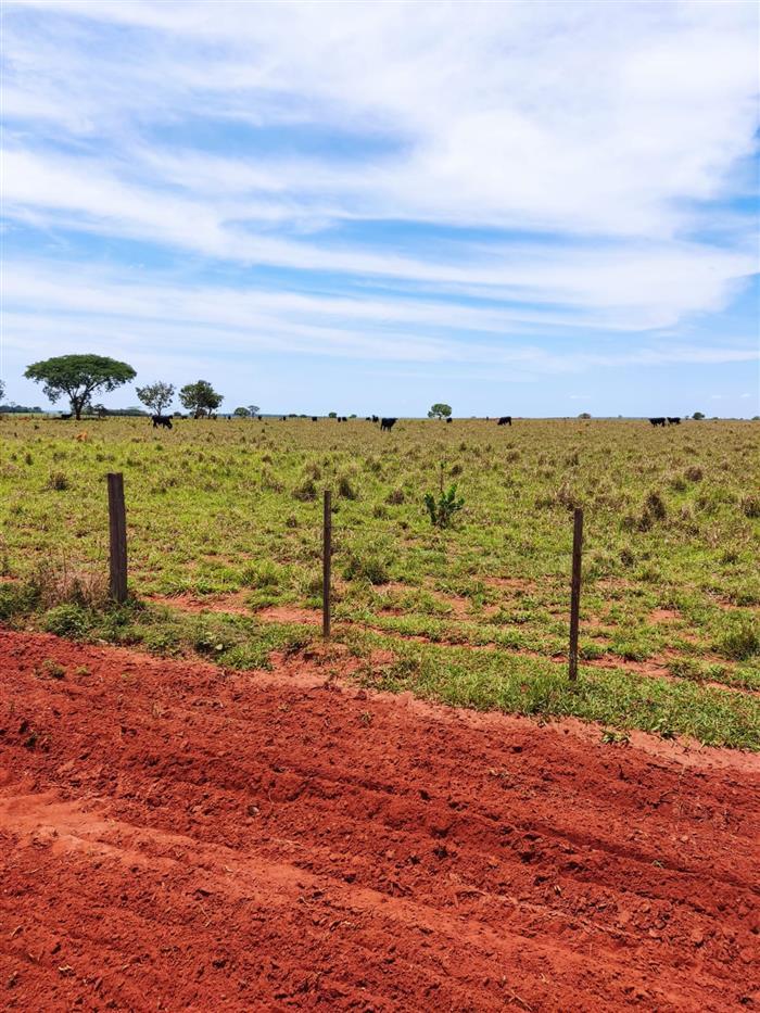 Propriedade rural em Aparecida do Taboado — 455 ha — foto 1 de 9
