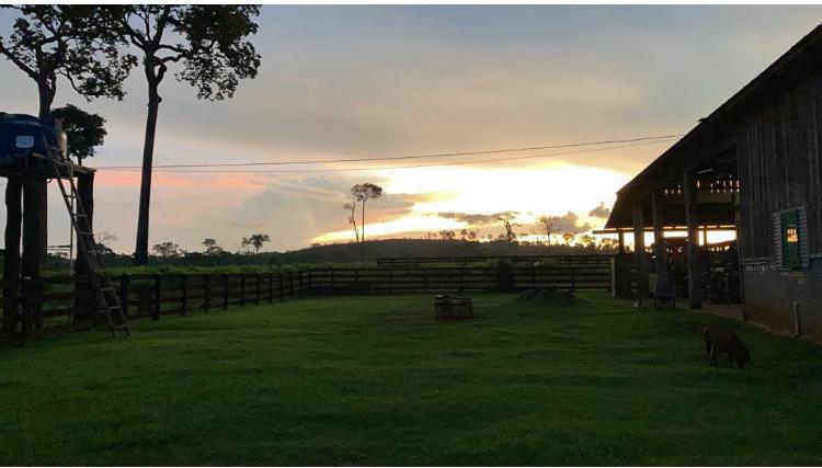 Propriedade rural em Nova Bandeirantes — 242 hectares — foto 1 de 11