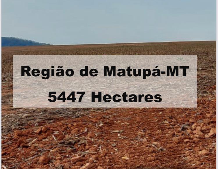 Propriedade rural em Matupá — 5.447 hectares — foto 1 de 9