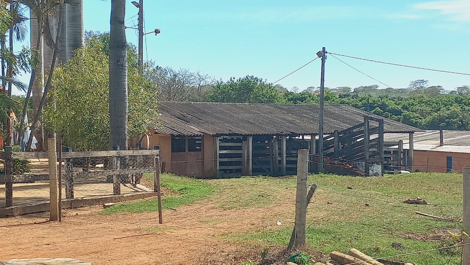 Propriedade rural em Cardoso — 8 ha — foto 1 de 2