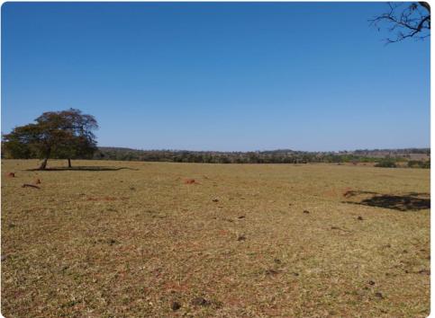 Propriedade rural em Inocência — 295 ha — foto 1 de 7