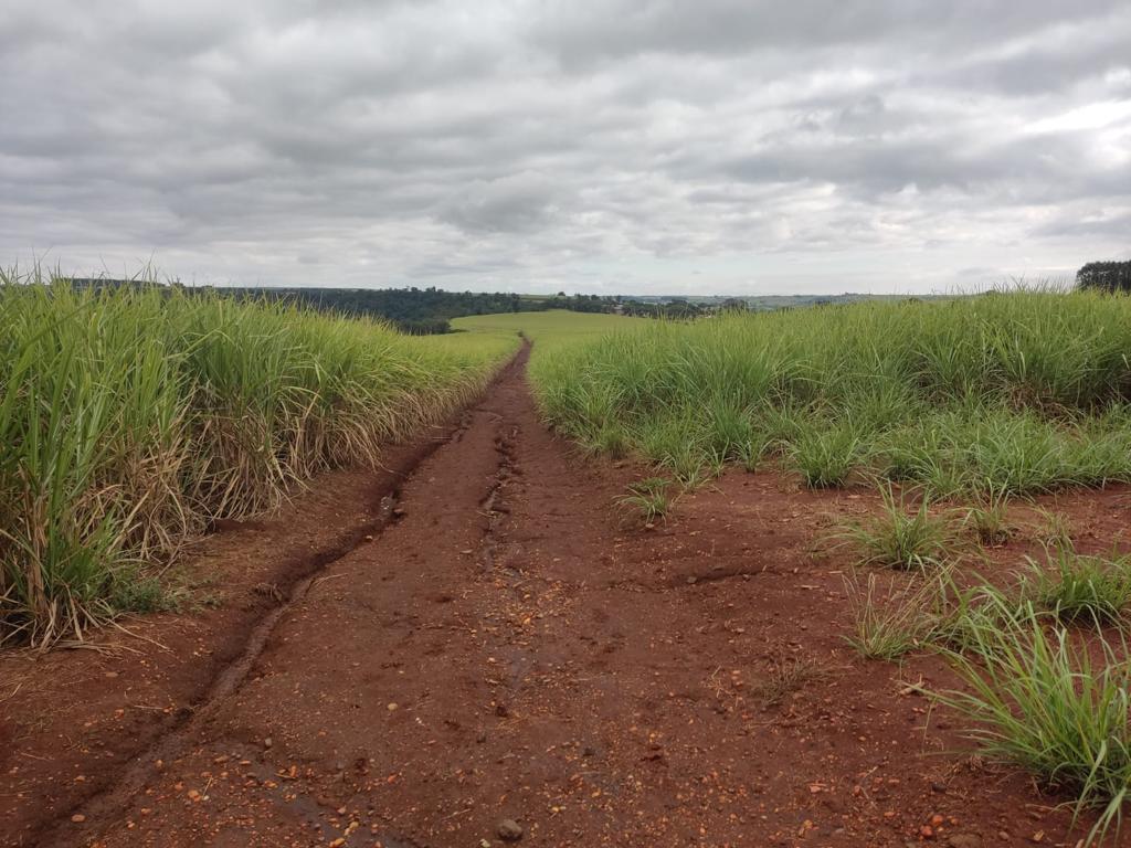 Propriedade rural em Tatuí — 290 ha — foto 1 de 12