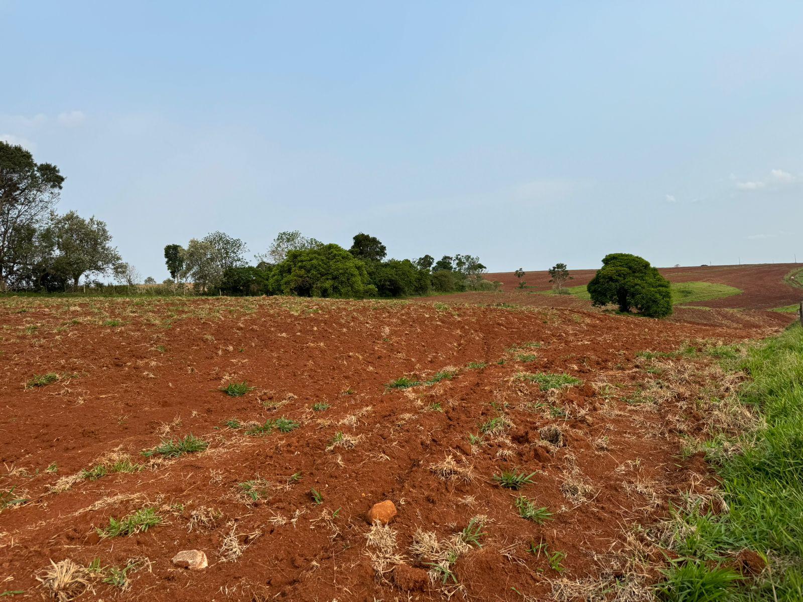 Propriedade rural em Itatinga — 145 ha — foto 1 de 12