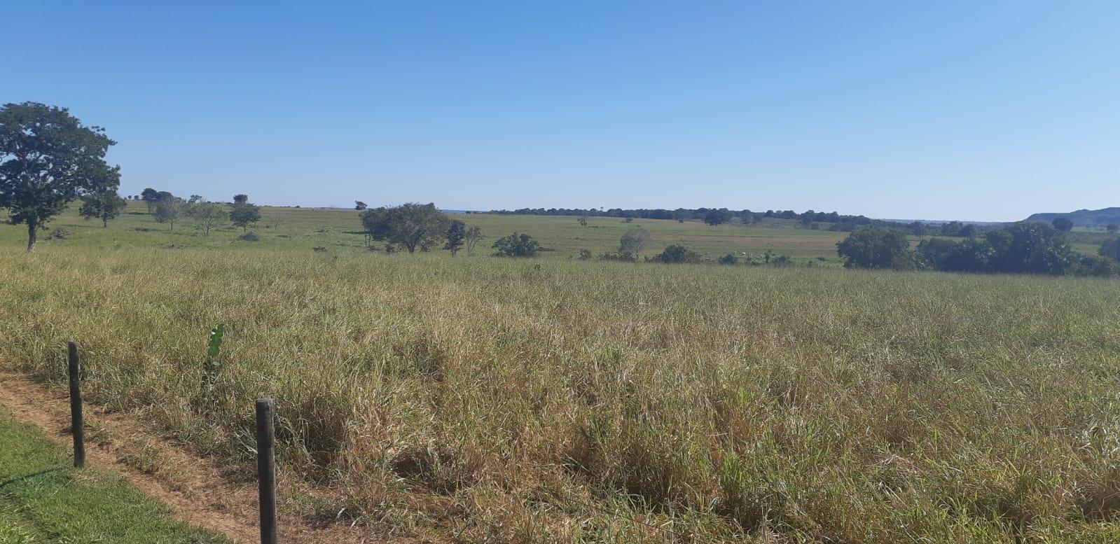 Propriedade rural em Barra do Garças — 7.400 hectares — foto 1 de 12