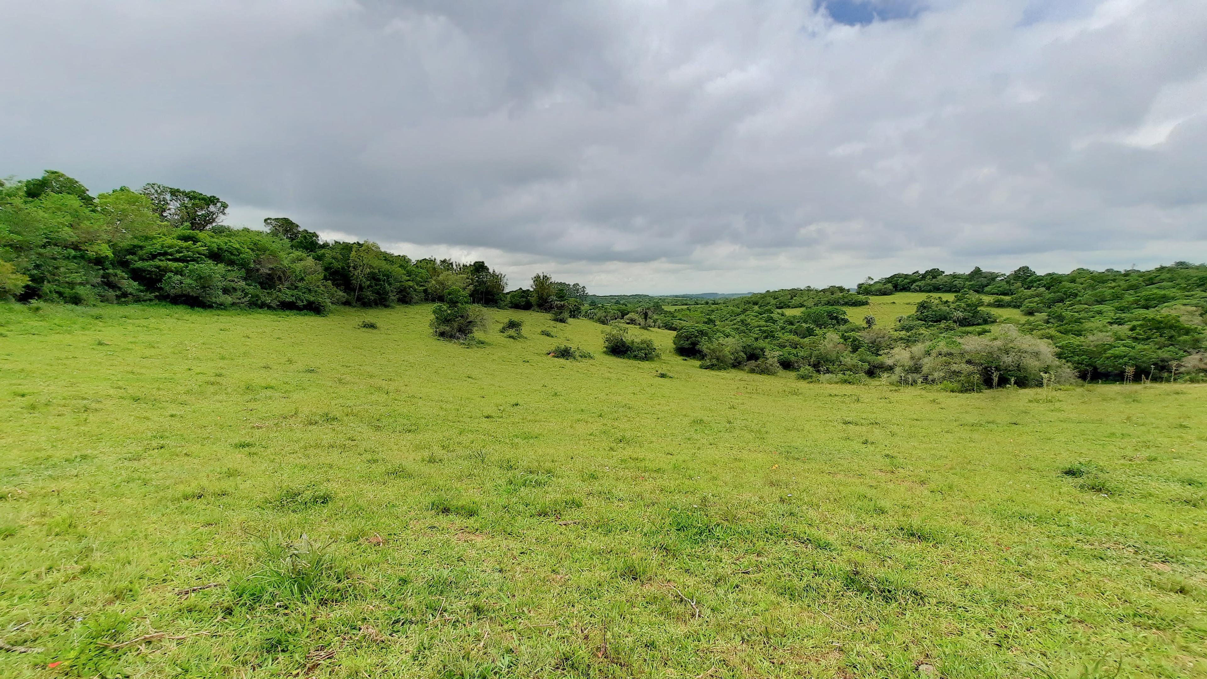 Propriedade rural em Viamão — 90 ha — foto 1 de 12