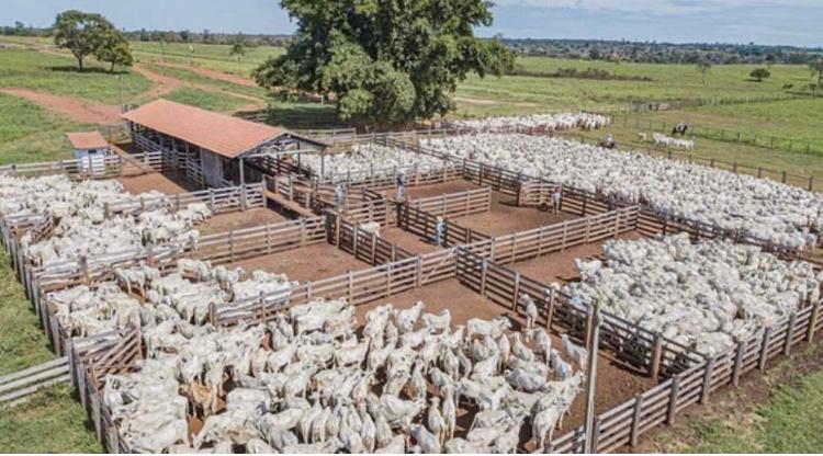 Propriedade rural em Canabrava do Norte — 4.450 ha — foto 1 de 12