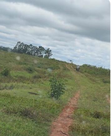 Propriedade rural em Camapuã — 441 ha — foto 1 de 6