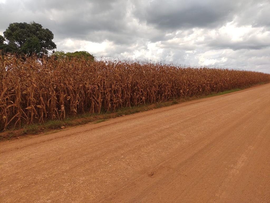 Propriedade rural em Jatobá — 15.052 ha — foto 1 de 12