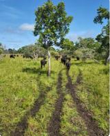 Propriedade rural em Corumbá — 1.146 ha — foto 1 de 8