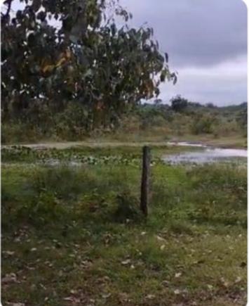 Propriedade rural em Porto Murtinho — 750 ha — foto 1 de 6