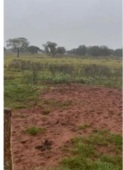 Propriedade rural em Campo Grande — 1.000 ha — foto 1 de 8