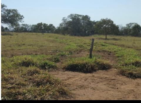 Propriedade rural em Campo Grande — 670 ha — foto 1 de 7