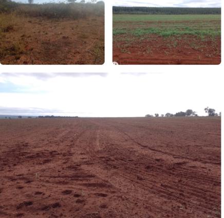 Propriedade rural em São Gabriel do Oeste — 1.079 ha — foto 1 de 8