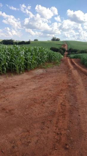 Propriedade rural em Boa Esperança — 103 ha — foto 1 de 12