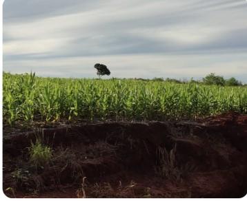 Propriedade rural em Gaúcha do Norte — 1.000 ha — foto 1 de 2