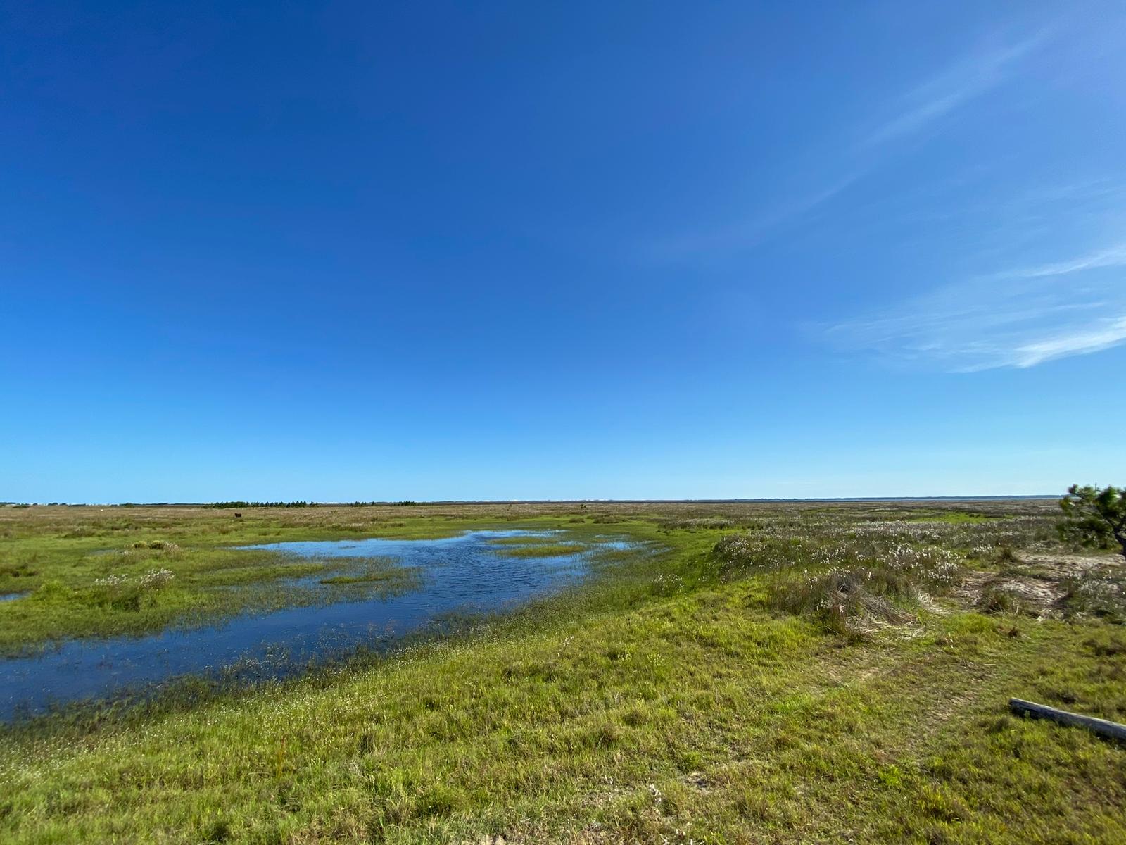Propriedade rural em Porto Alegre — 3.000 ha — foto 1 de 2