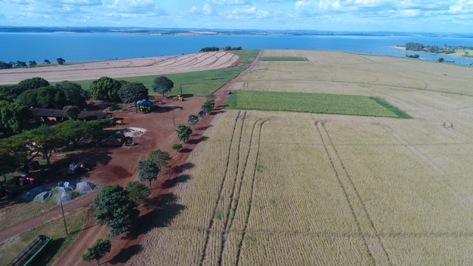 Propriedade rural em Avaré — 387 ha — foto 1 de 12