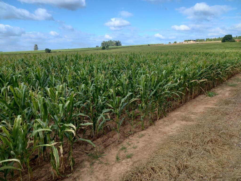 Propriedade rural em Tatuí — 12 ha — foto 1 de 12