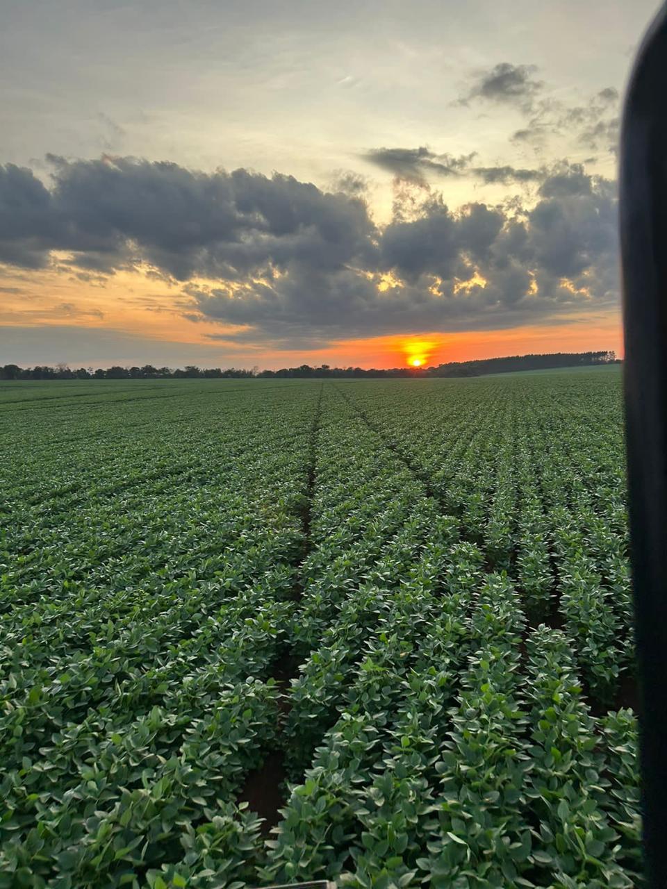 Propriedade rural em Darcinópolis — 1.288 ha — foto 1 de 9