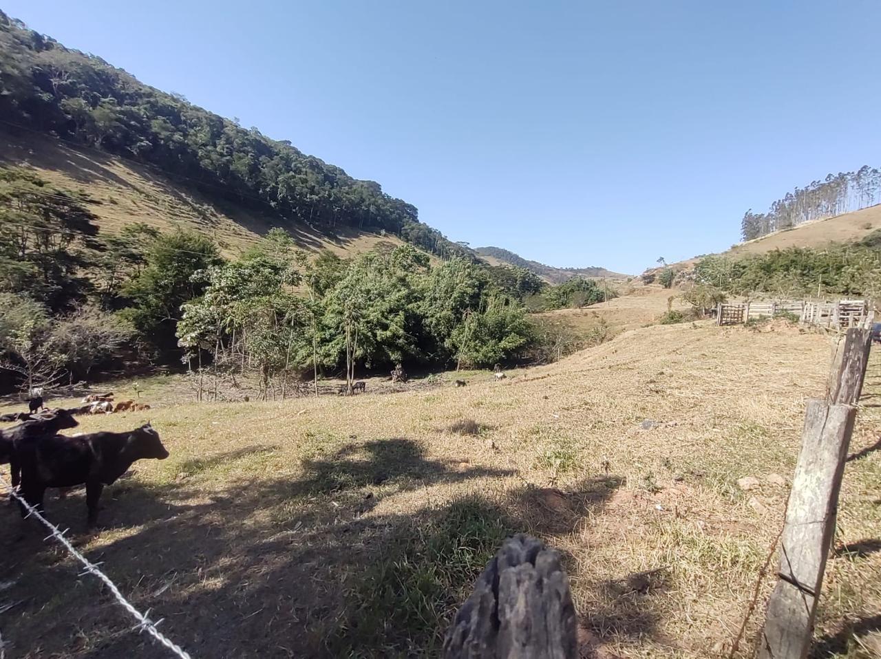 Propriedade rural em Valença — 4 ha — foto 1 de 2