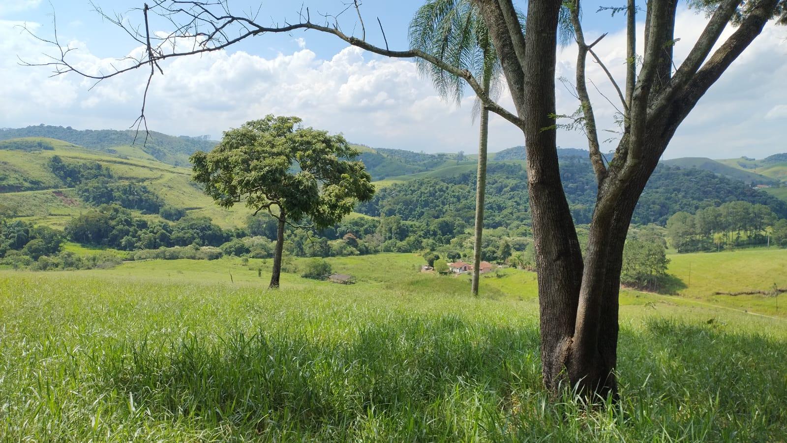 Propriedade rural em Santa Isabel — foto 1 de 9