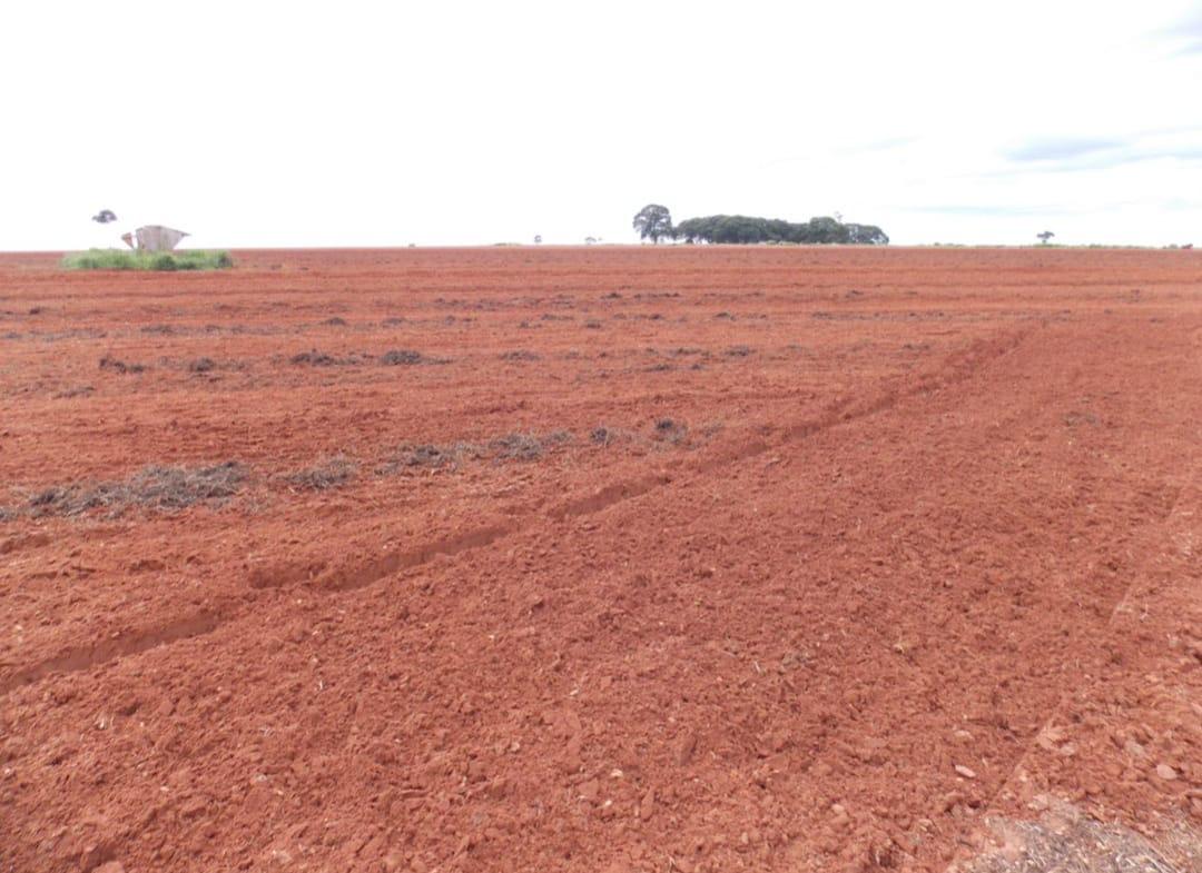 Propriedade rural em Rancharia — 1.380 ha — foto 1 de 12