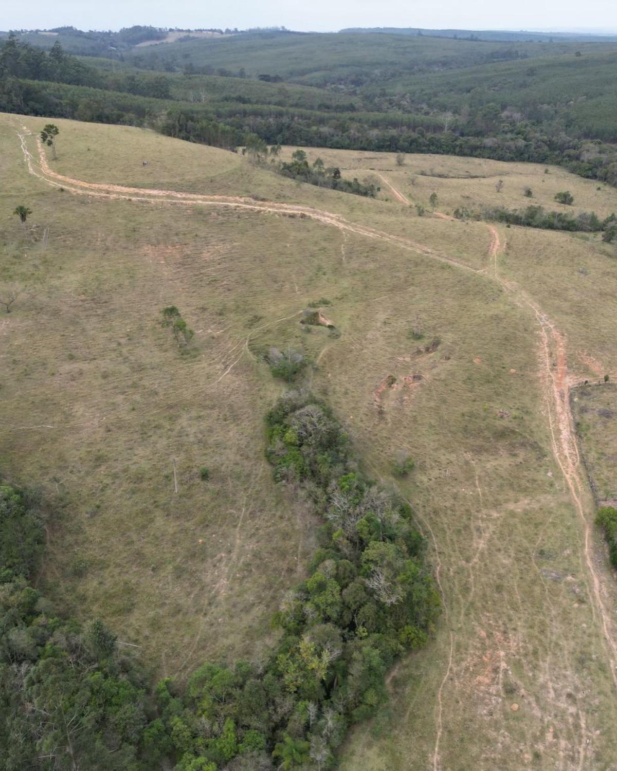 Propriedade rural em São Miguel Arcanjo — 25 ha — foto 1 de 8