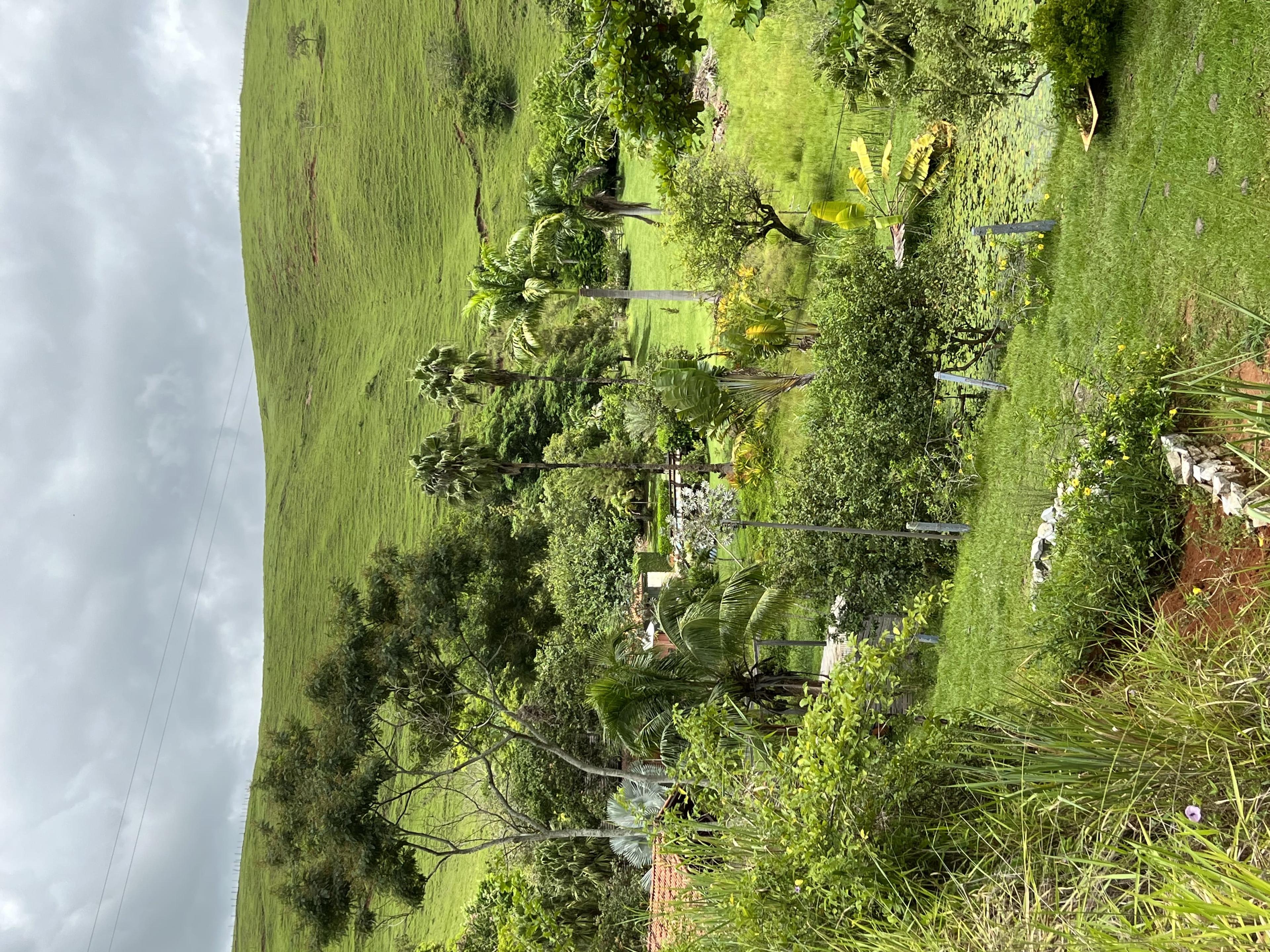 Propriedade rural em Macuco — 5 ha — foto 1 de 9