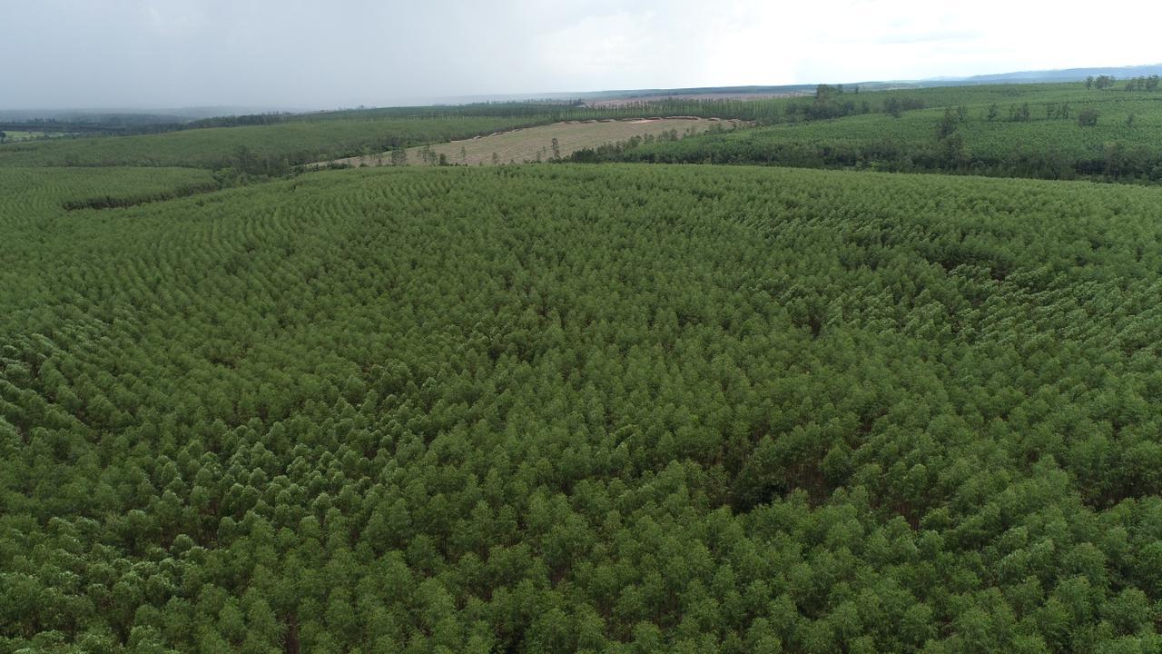 Propriedade rural em Botucatu — 244 ha — foto 1 de 12