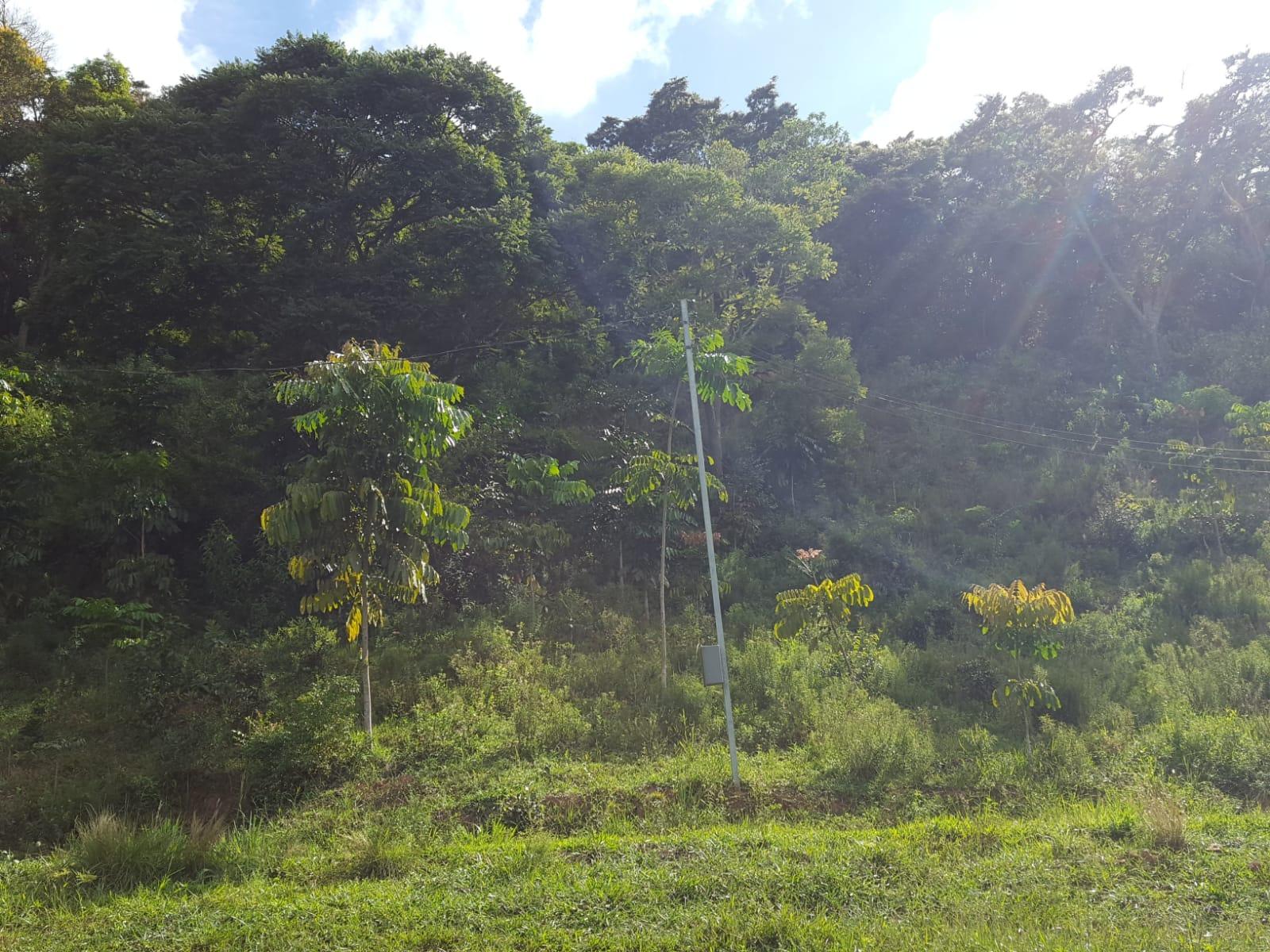 Propriedade rural em São Gonçalo do Sapucaí — 4 ha — foto 1 de 10