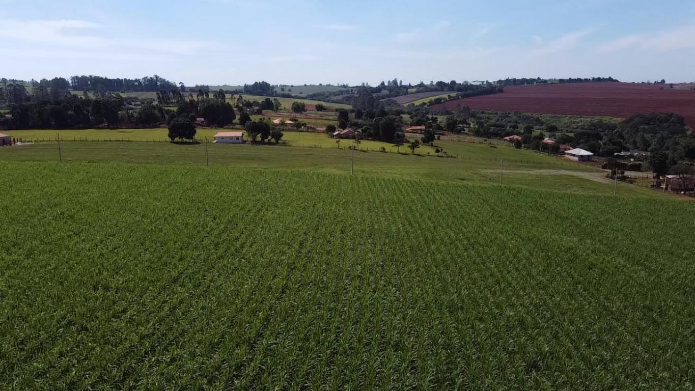 Propriedade rural em Itapetininga — 17 ha — foto 1 de 12