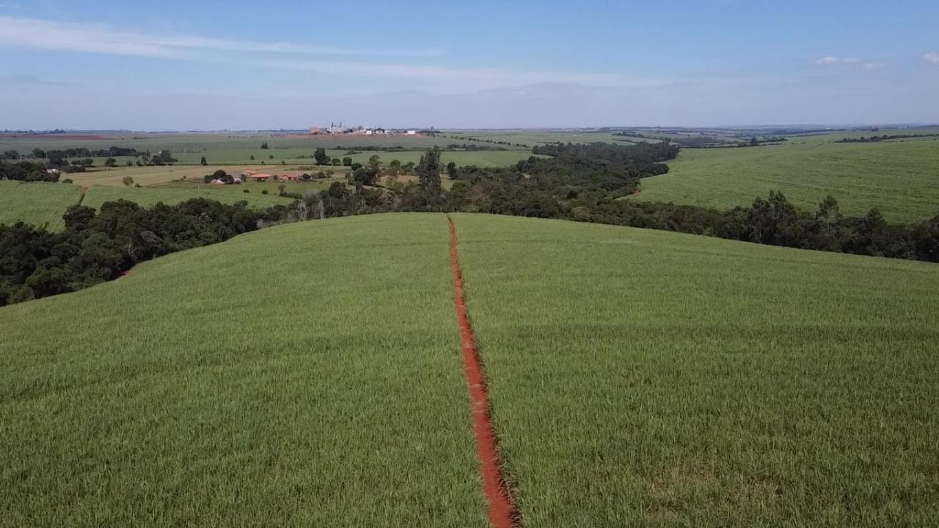 Propriedade rural em Itapetininga — 31 ha — foto 1 de 12