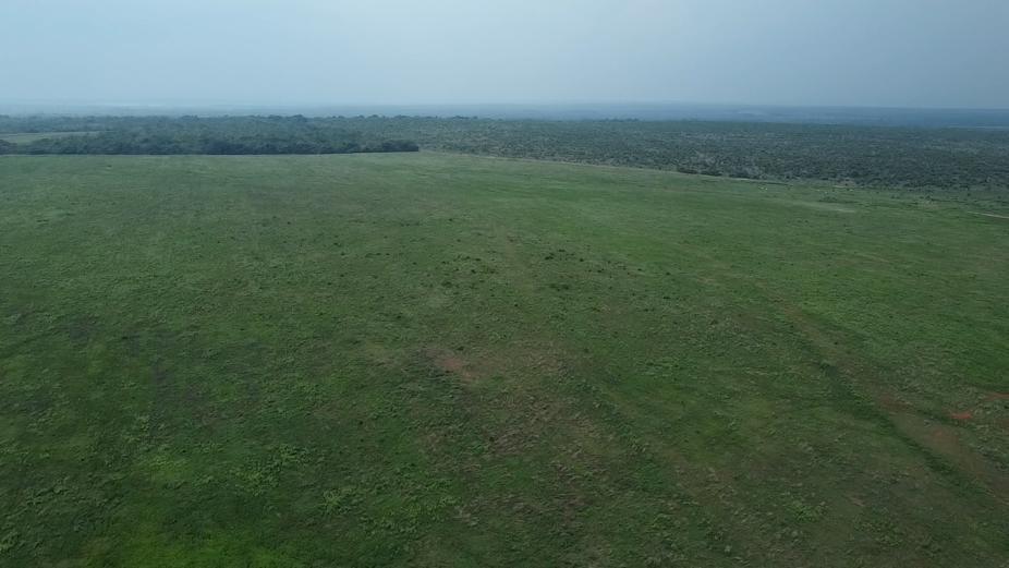 Propriedade rural em Palmeirante — 800 ha — foto 1 de 11