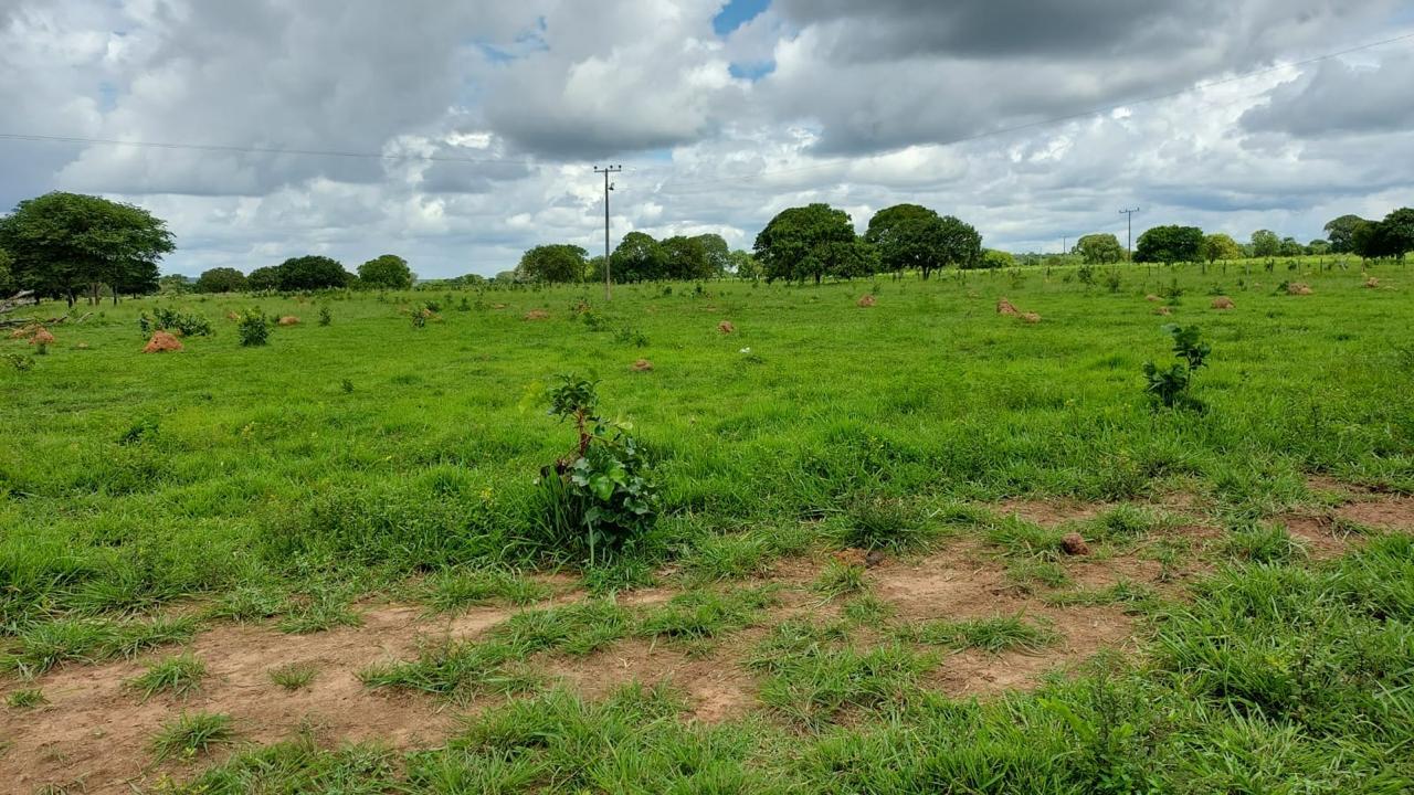 Propriedade rural em Santa Rita do Tocantins — 2.730 ha — foto 1 de 12